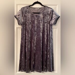 Z Supply Velvet Short Sleeve Dress